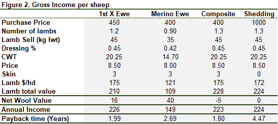 Gross income per sheep