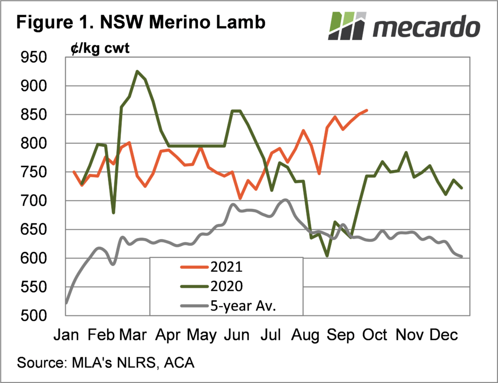 NSW Merino Lambs