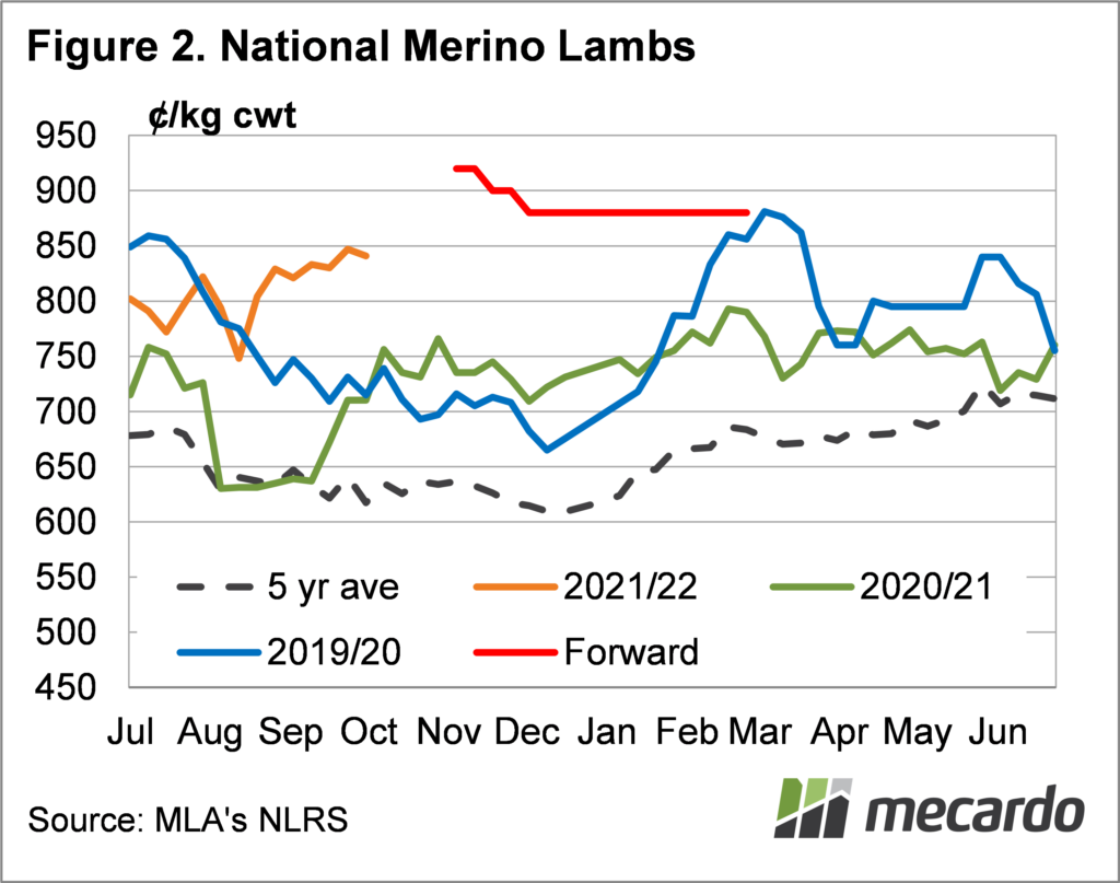 National Merino lambs