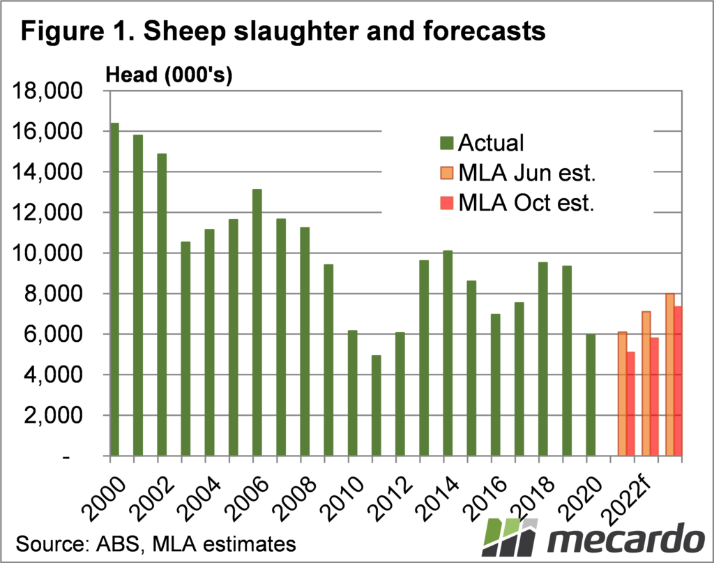 Sheep slaughter & forecasts