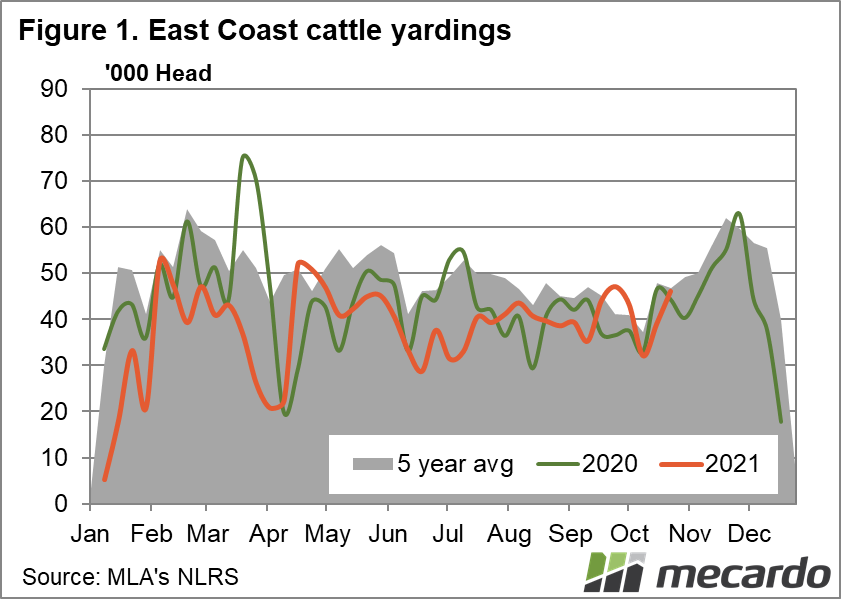 East coast cattle yardings
