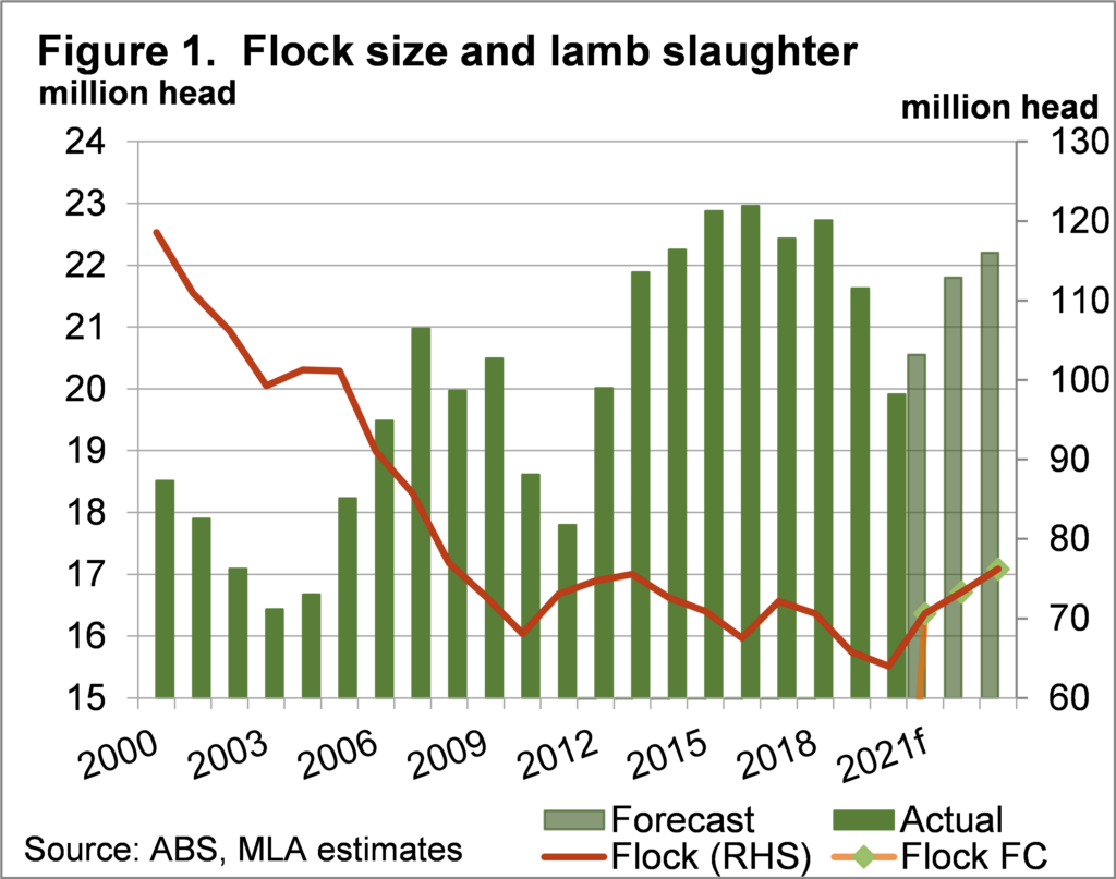 Flock size & lamb slaughter