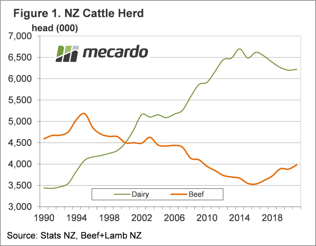NZ cattle herd