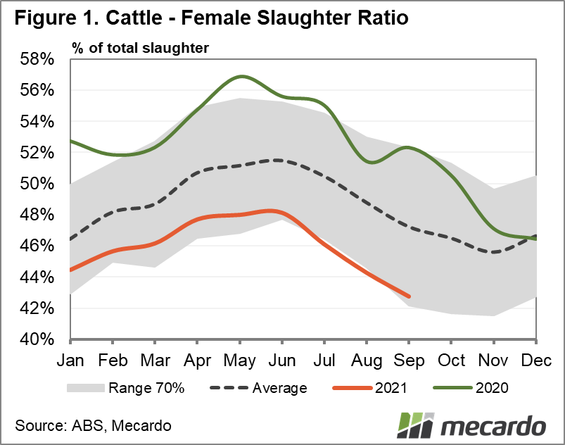 Cattle - Female Slaughter Ratio