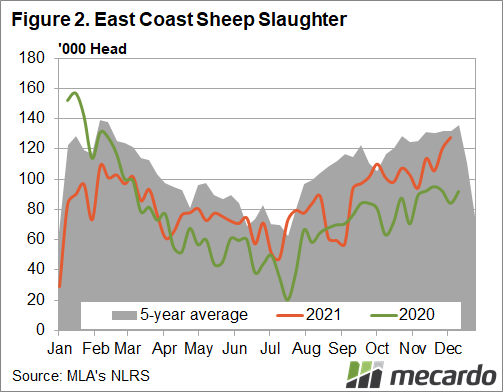 East coast sheep slaughter