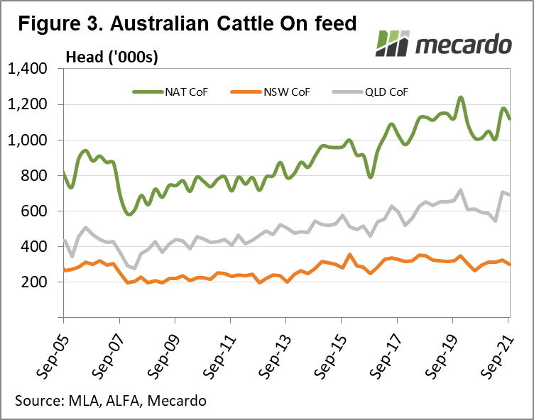 Australian cattle on feed