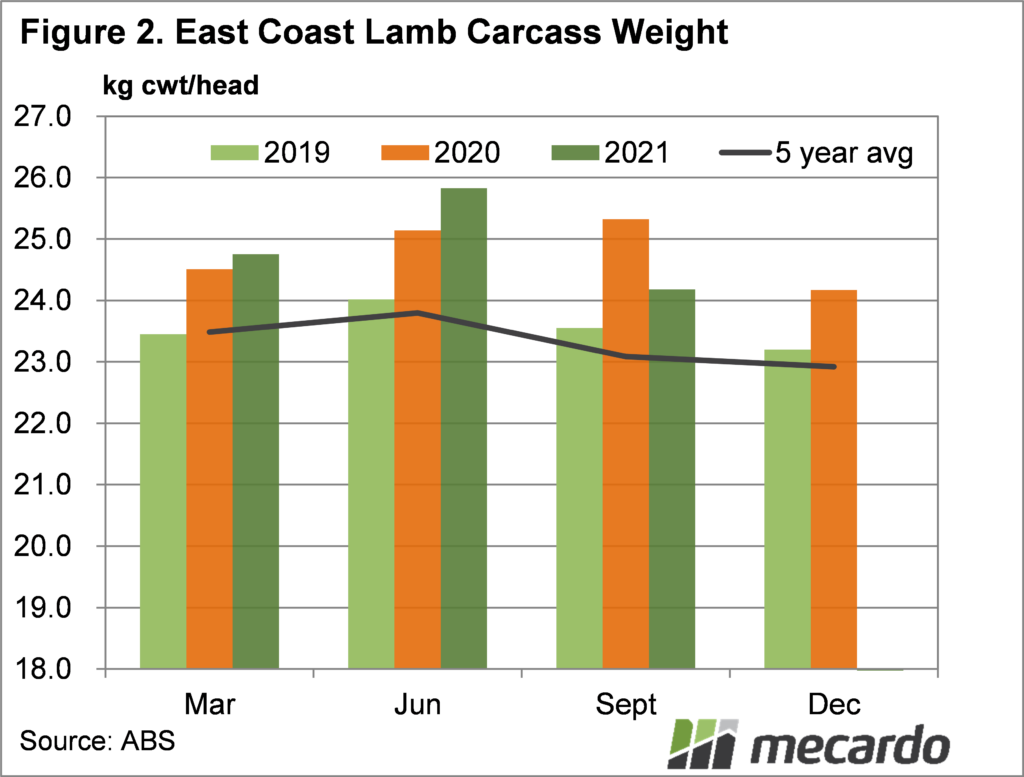 East coast lamb carcass weights