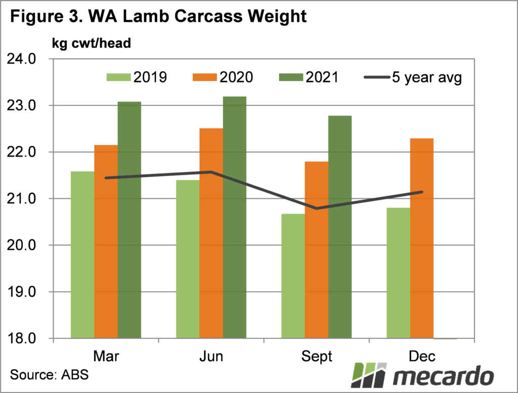 WA lamb carcass weights