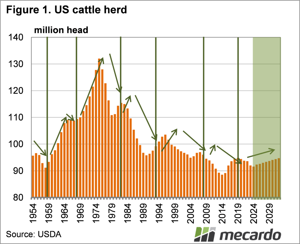 US cattle herd