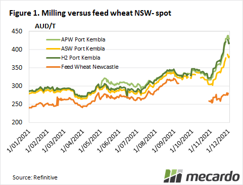 Milling versus feed wheat NSW - Spot