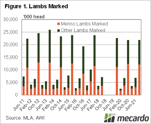 2022-01-06 Lambs marked