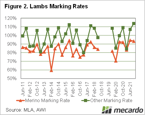 2022-01-06 lamb marking rates