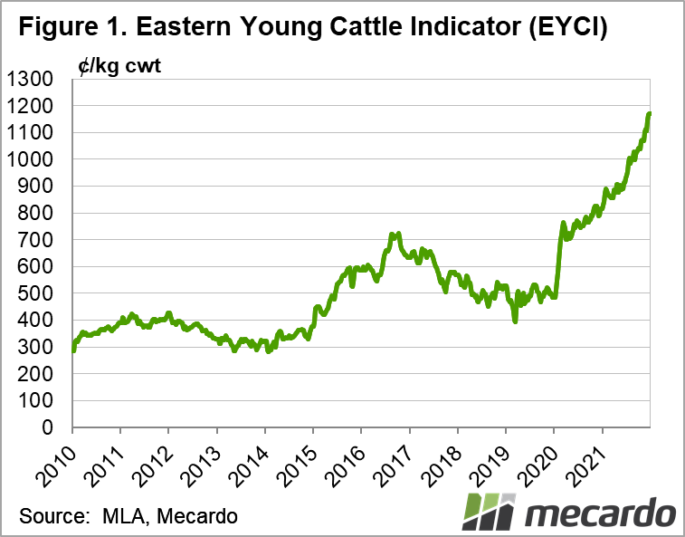 Eastern Young Cattle Indicator 2021