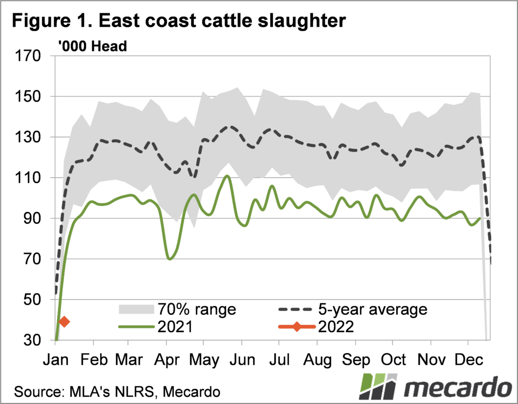 2022-01-13 East coast cattle slaughter