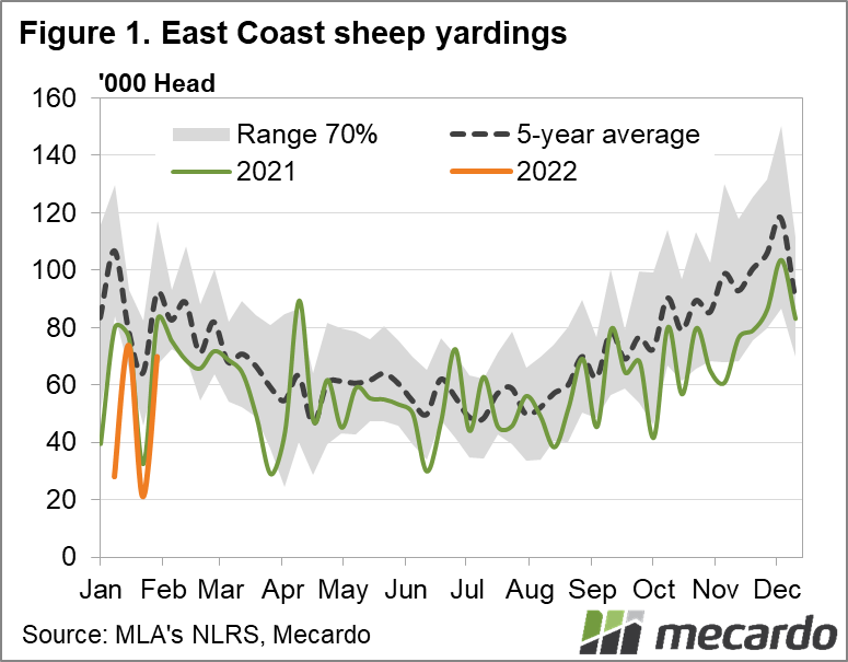 East coast sheep yardings