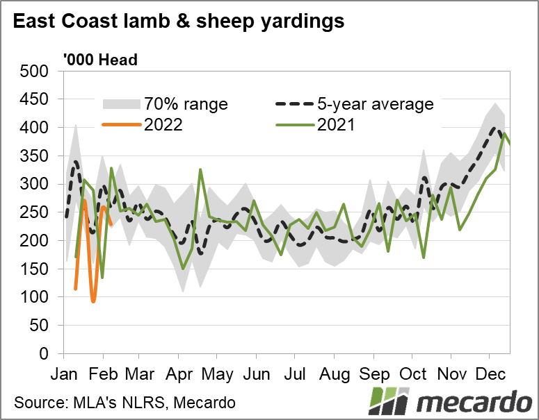 East coast lamb & sheep yardings
