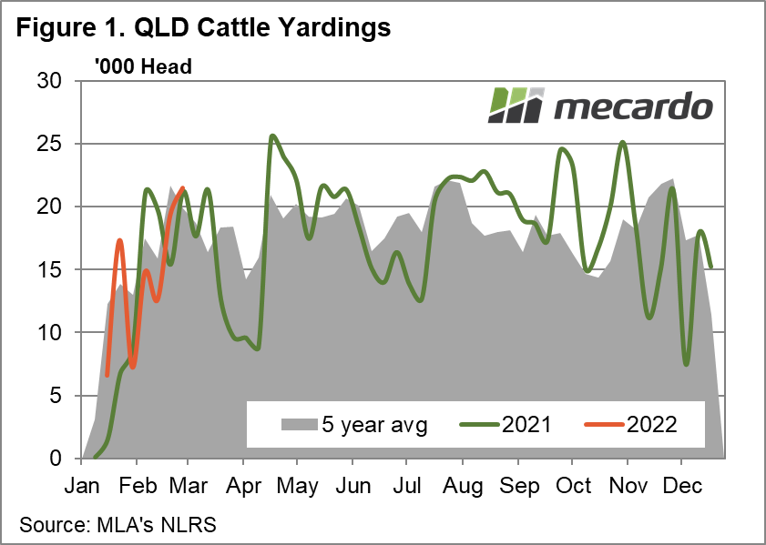 QLD cattle yardings