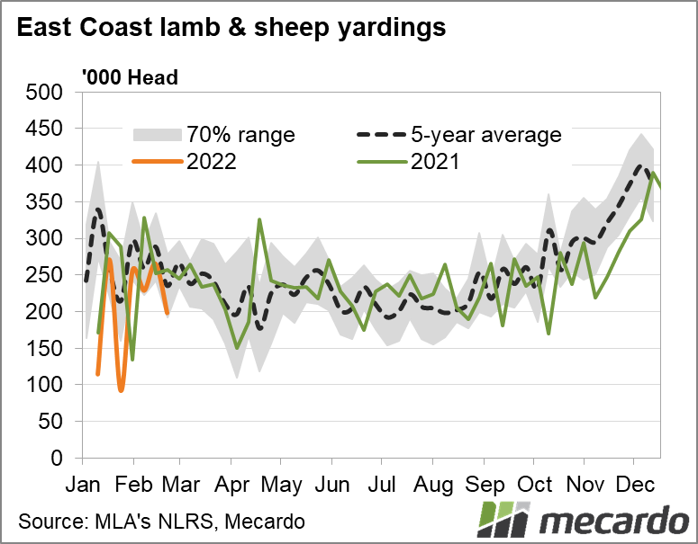 Easto coast lamb & sheep yardings