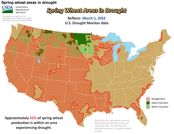 US spring wheat areas in drought