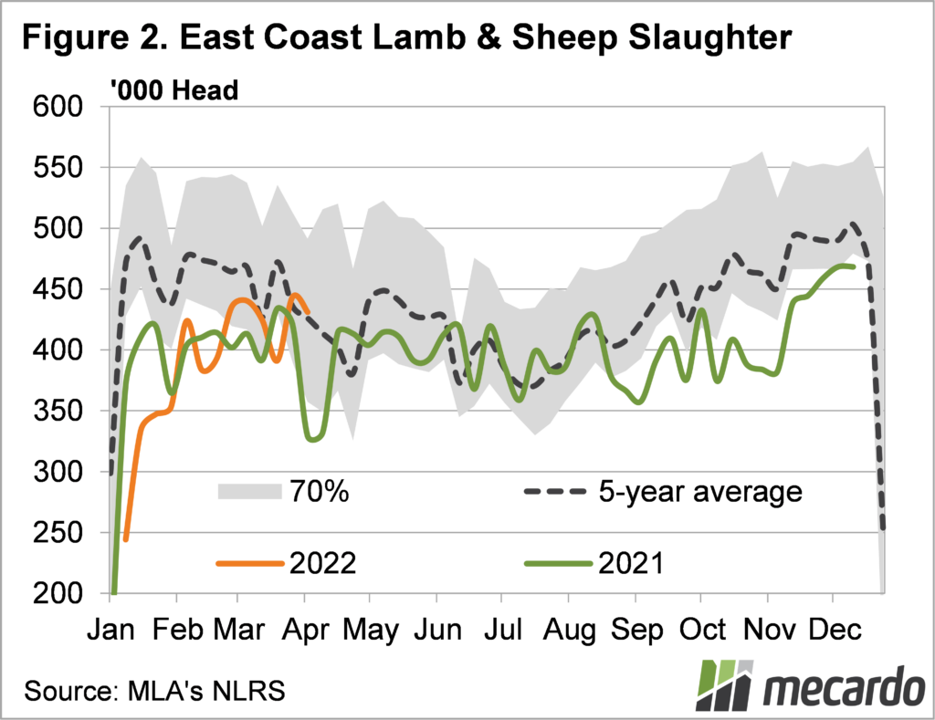 East coast lamb & sheep slaughter