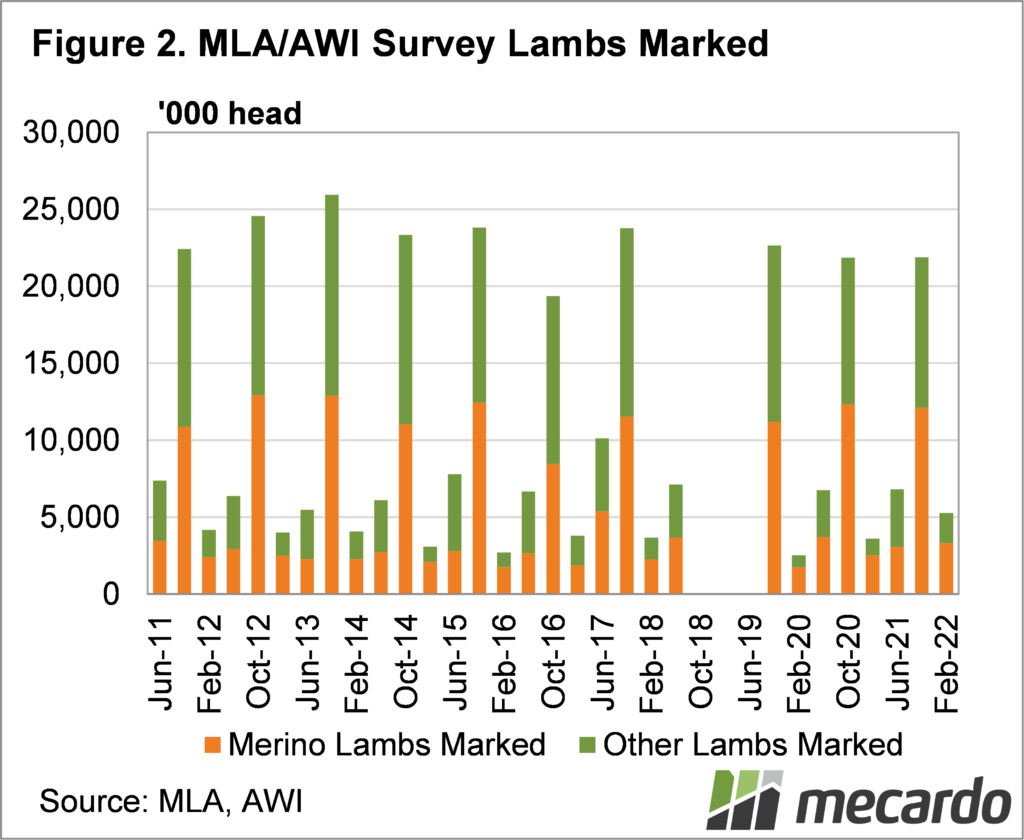 MLA/AWI Survey lambs marked