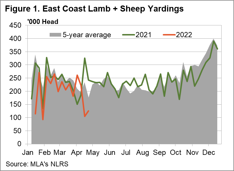 East coast lamb & sheep yardings
