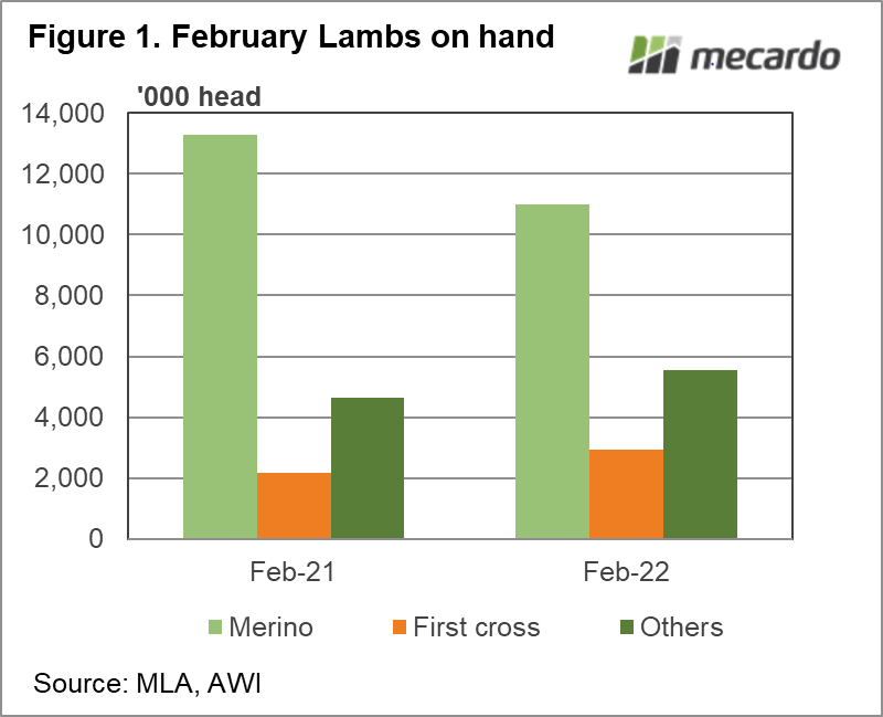 February Lambs on hand