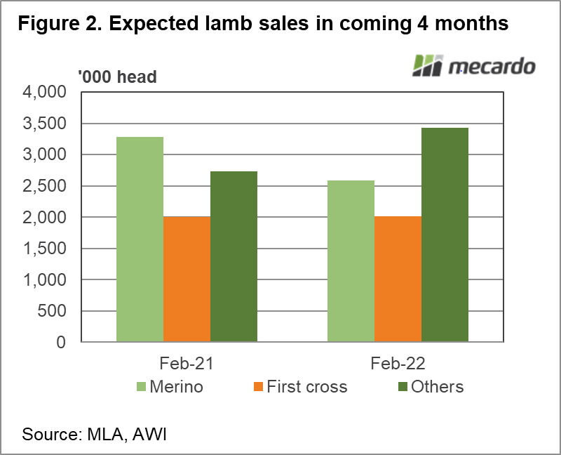 Expected lamb sales in coming 4 months