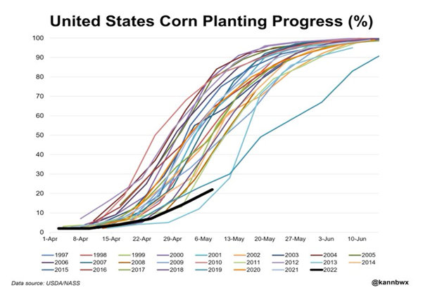 United States Corn Planting Progress (%)