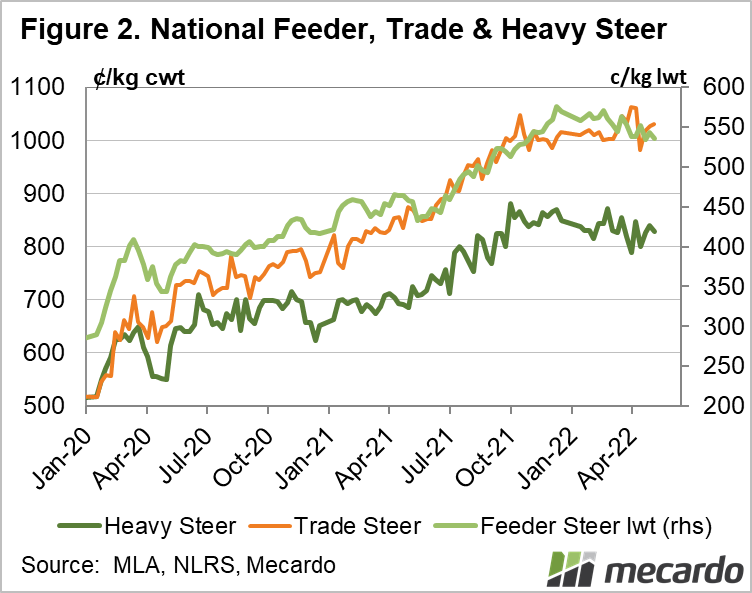 National feeder trade and heavy steer