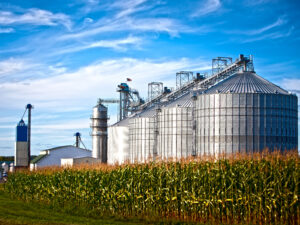 Biofuel storage and crops