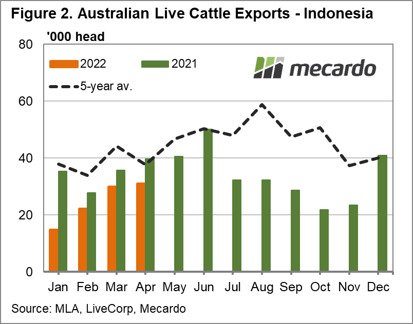 Australian live cattle exports Indonesia