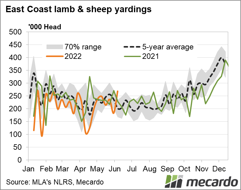 East coast sheep & lamb yardings