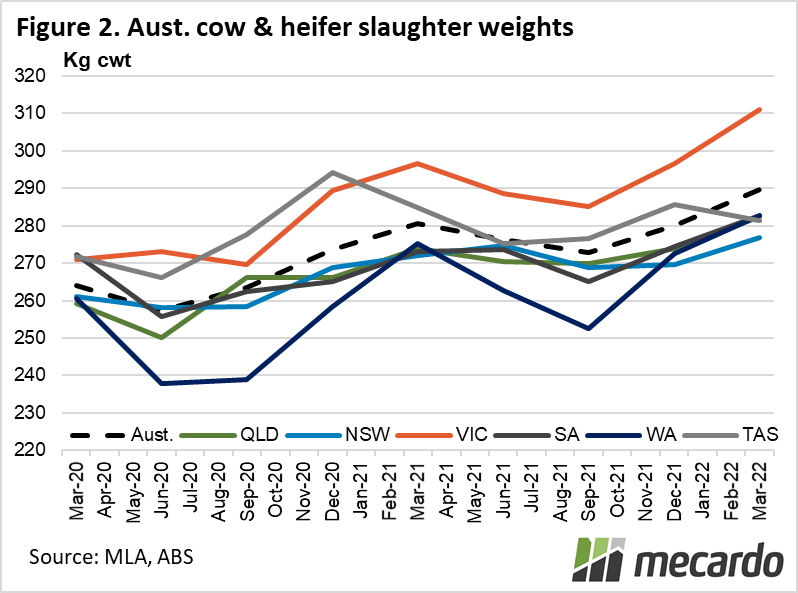 Aust. cow & heifer slaughter weights