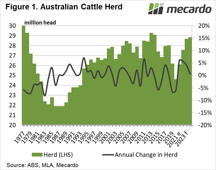 Australian cattle herd