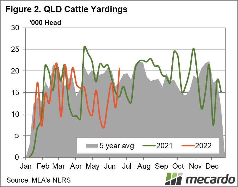 QLD cattle yardings