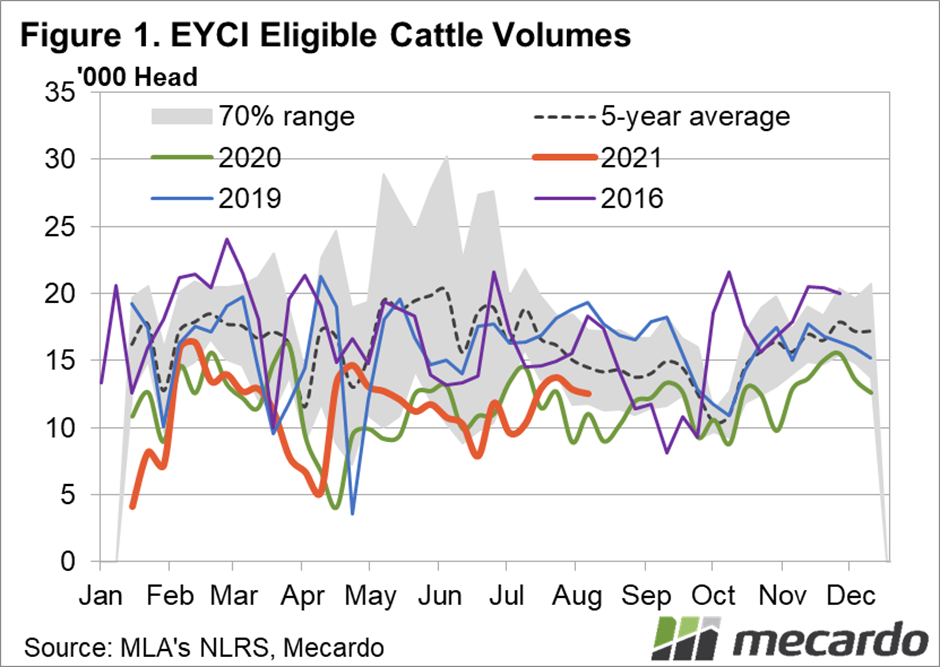 EYCI eligible cattle volumes