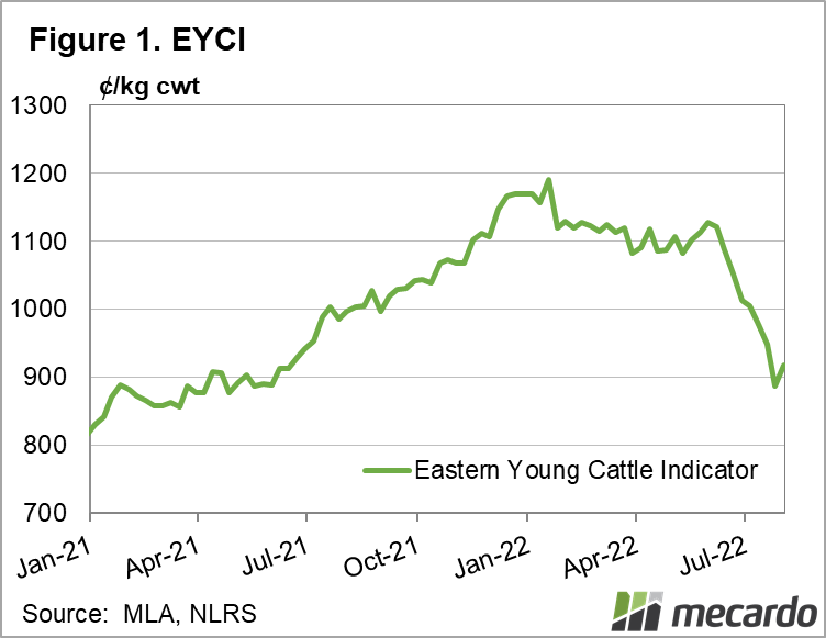 2022 - 08 -05 chart of eastern young cattle indicator