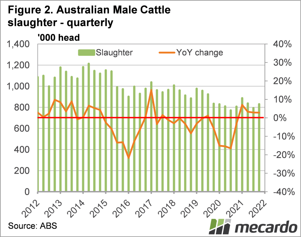 Australian male cattle slaughter, quarterly