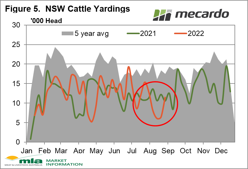 NSW cattle yardings