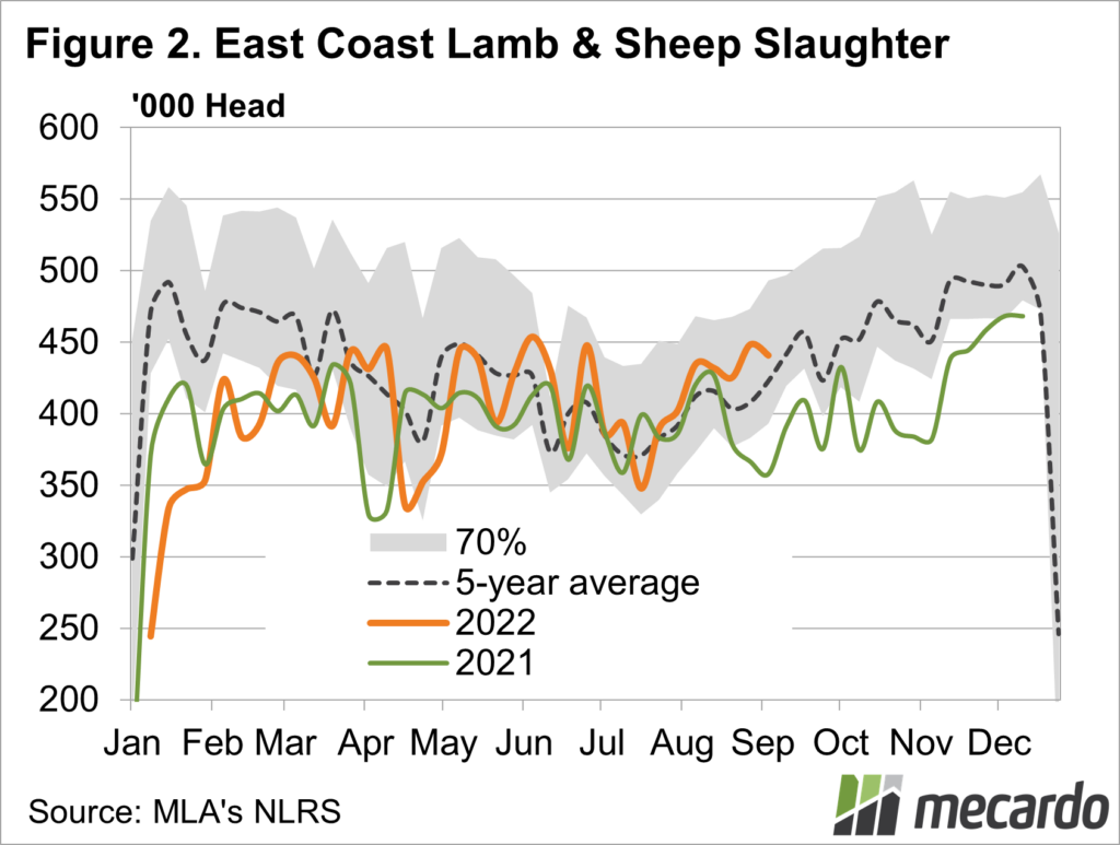 Eastern States sheep & lamb slaughter