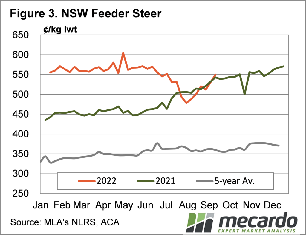 NSW Feeder Steer