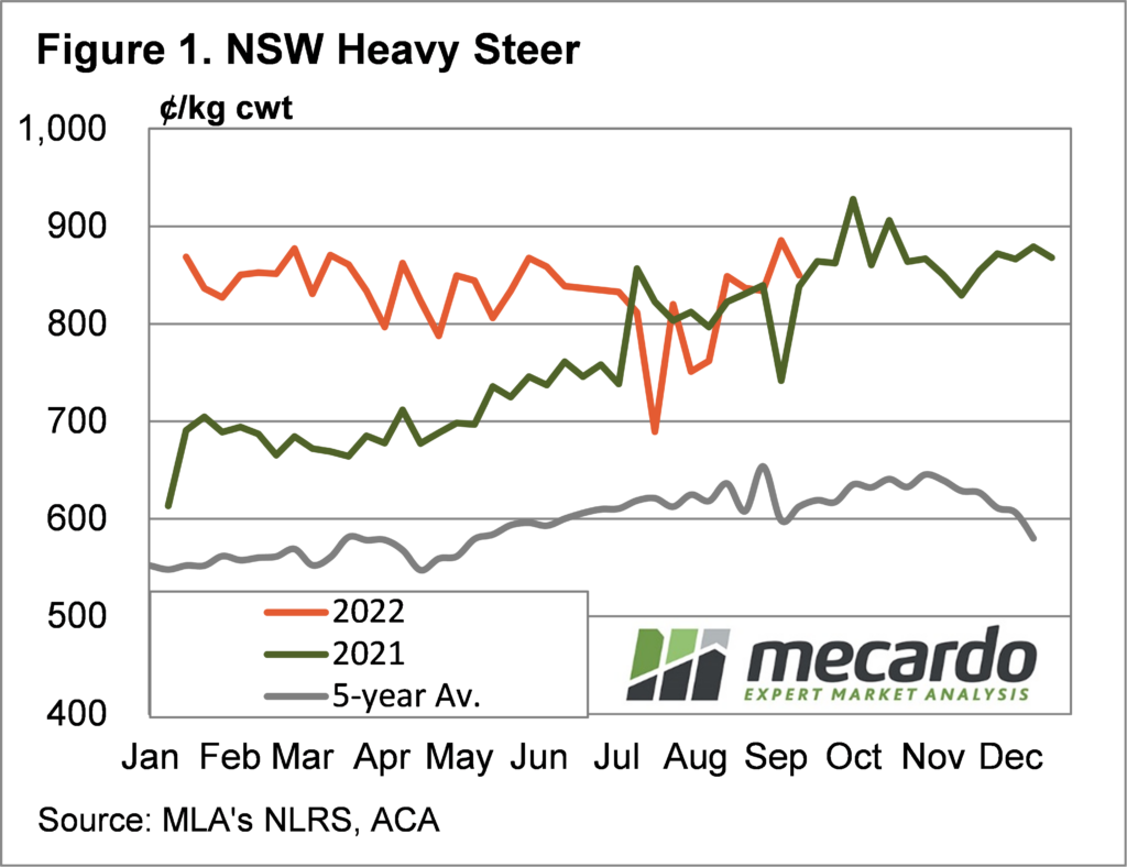 NSW heavy steer