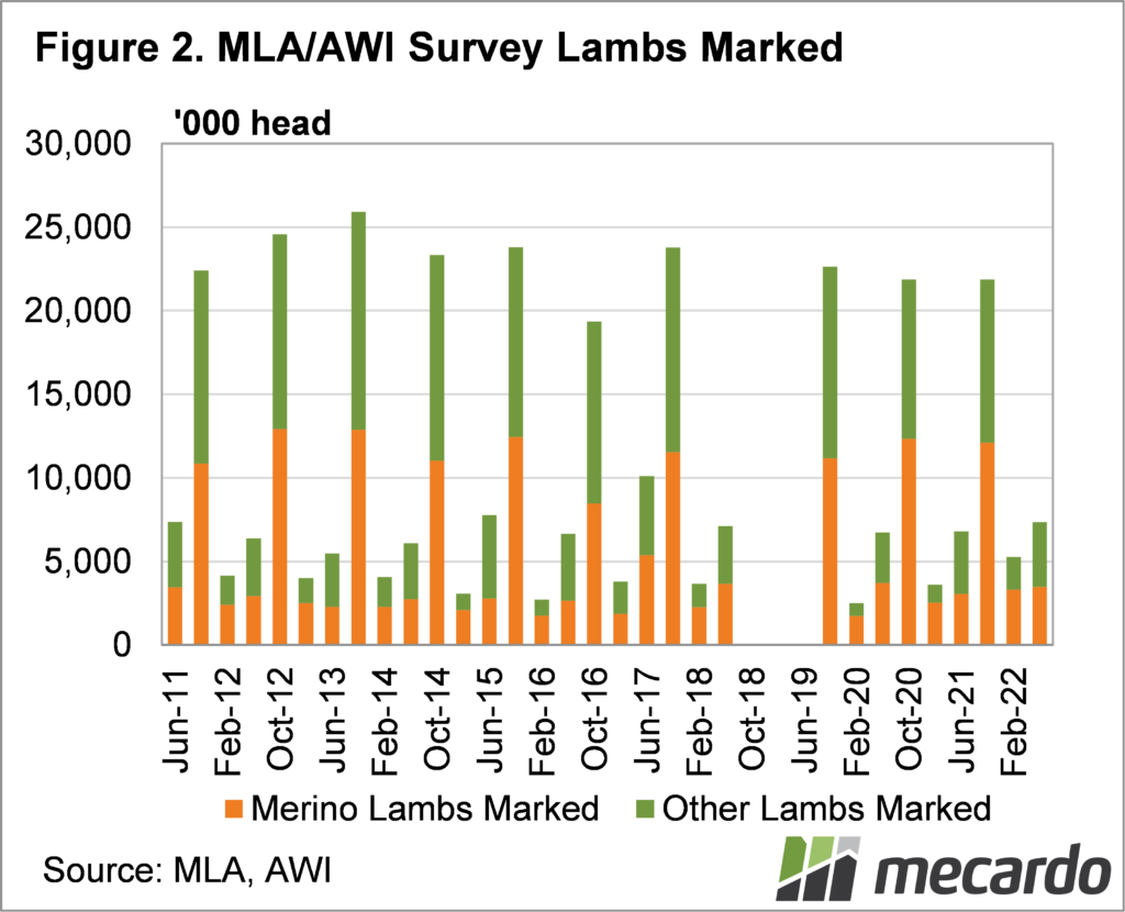 MLA-AWI survery lambs marked