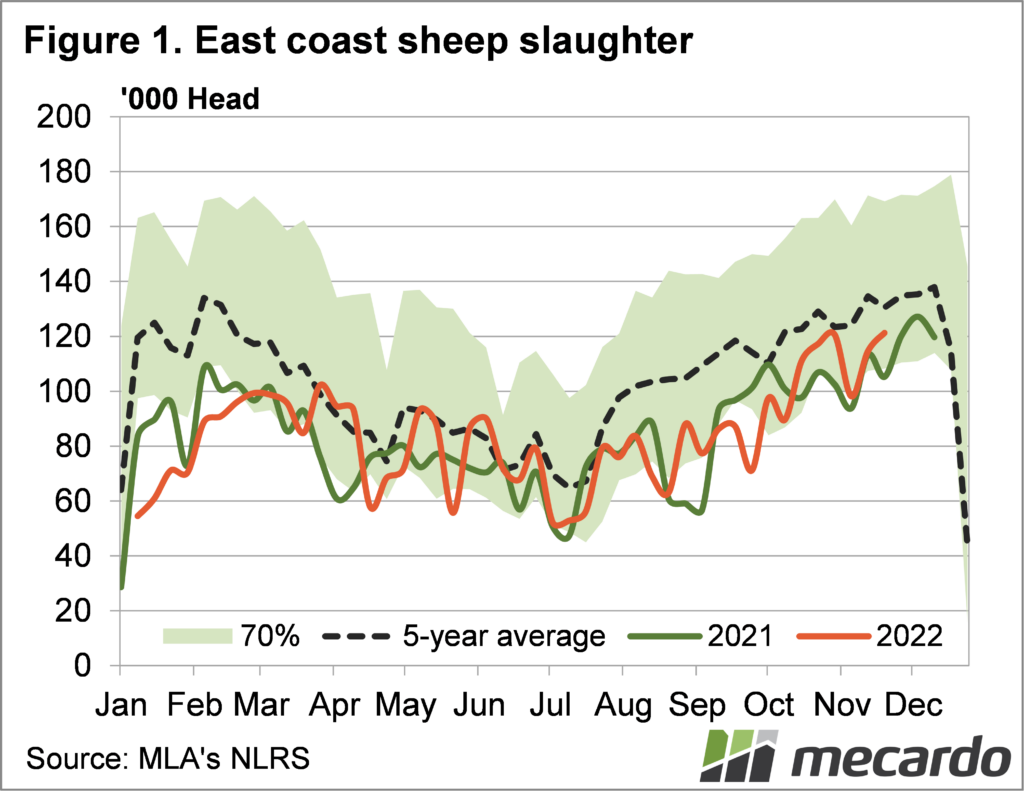 east coast sheep slaughter