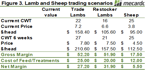 Lamb and sheep trading scenarios