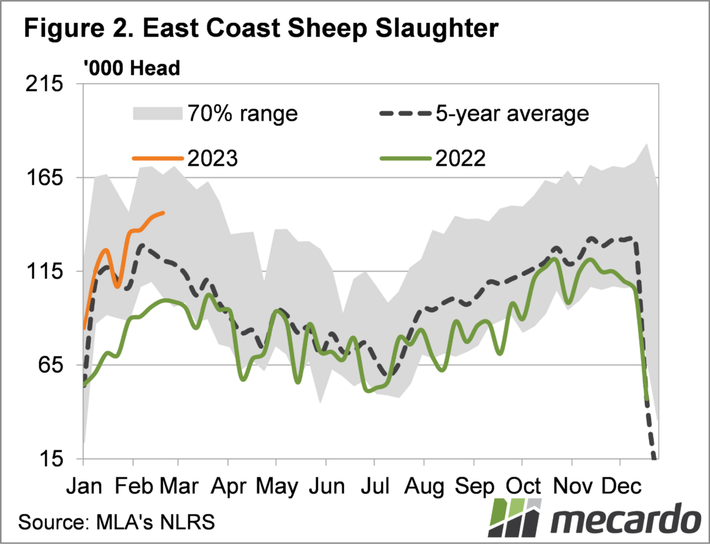 sheep slaughter east coast