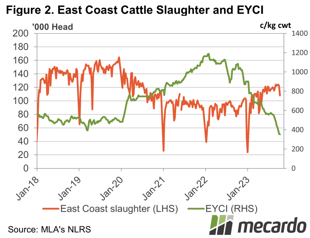 East coast cattle slaughter and eyci