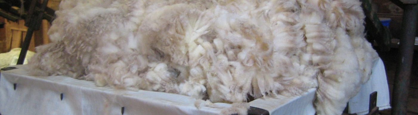 Wool Australia