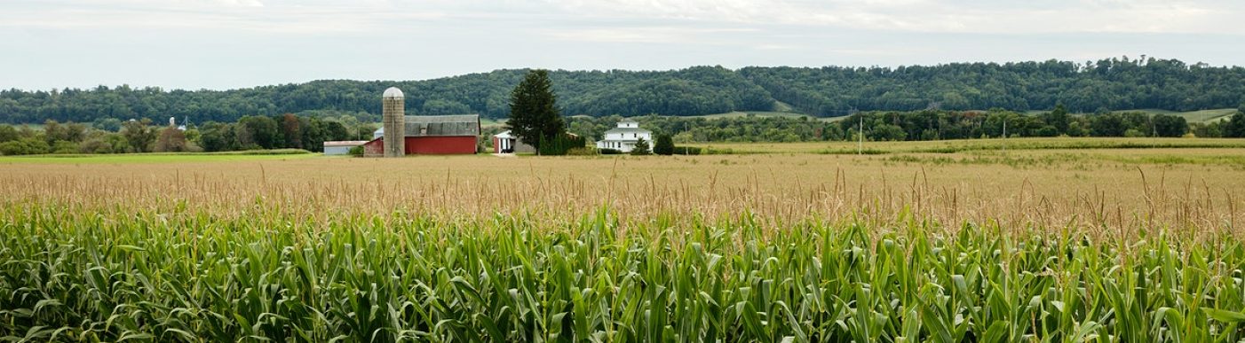 Corn field US
